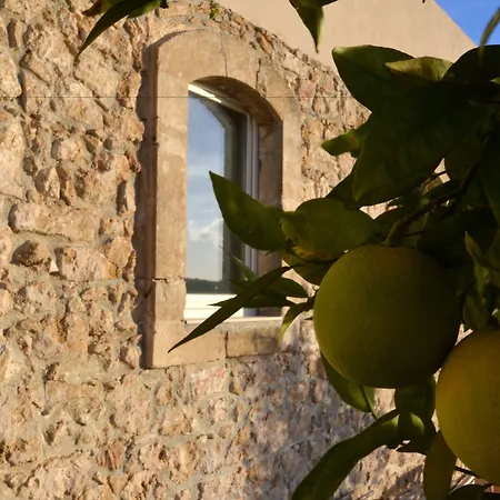 Scilla Maris Charming Feriested 4*