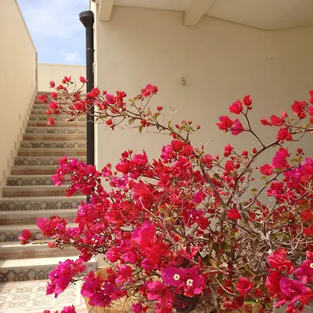 Scilla Maris Charming 4* Marzamemi