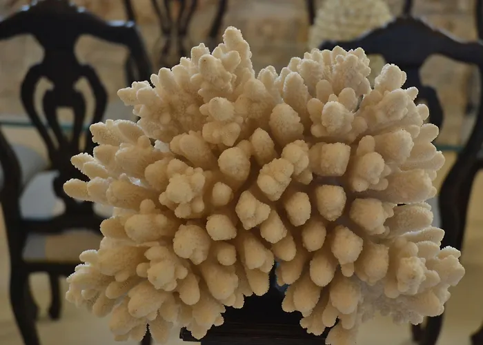 Θέρετρο Scilla Maris Charming