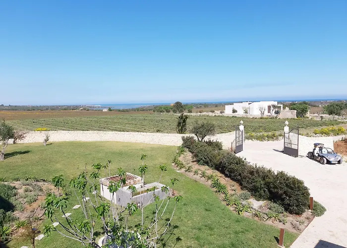 Scilla Maris Charming